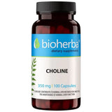 Choline 350 mg - 100 капсули - Feel You