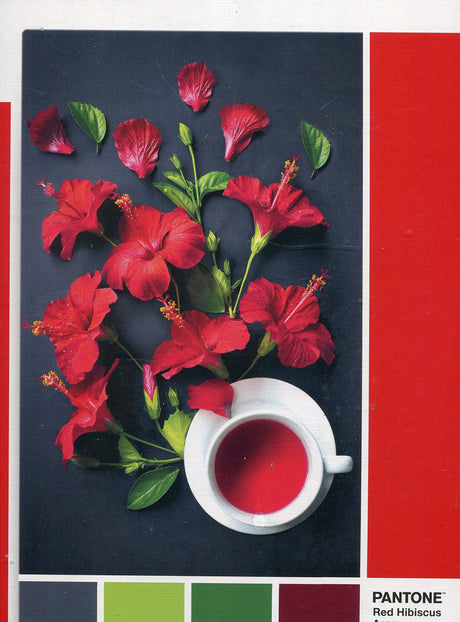 Clementoni, Pantone, Goji Berry, Puzzle, Unisex, 1000 pcs - Feel You