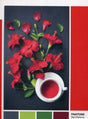 Clementoni, Pantone, Goji Berry, Puzzle, Unisex, 1000 pcs - Feel You