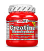 Creatine Monohydrate Powder - 0.500 кг - Feel You