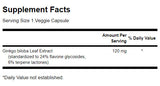 Delayed-Release Standardized Ginkgo 120 mg - 100 капсули - Feel You