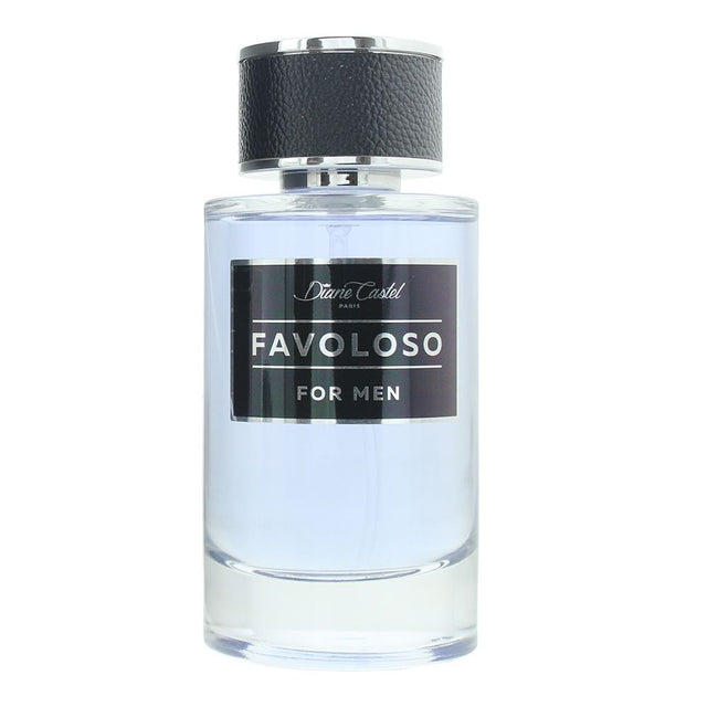 Diane Castel, Favolozo, Eau De Parfum, For Men, 100 ml - Feel You