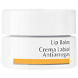 Dr. Hauschka - Lip Balm - 4.5ml - Feel You
