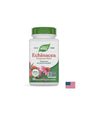 Echinacea Purpurea Herb/ Ехинацея (билка) 400 mg х 100 капсули Nature’s Way - Feel You