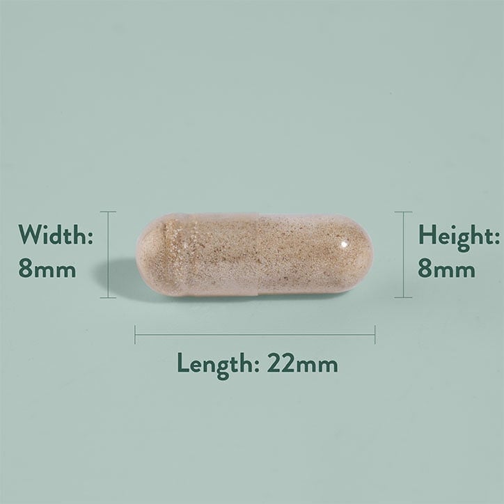 Сминдух (Fenugreek) (семена) 610 mg 90 капсули, H&B - Feel You