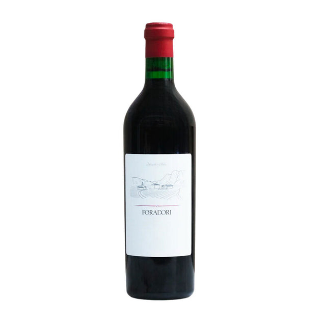 Foradori, Teroldego 2019, Red, Wine, 12.5%, 750 ml - Feel You