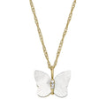 Fossil Radiant Wings JF04424710 - Feel You