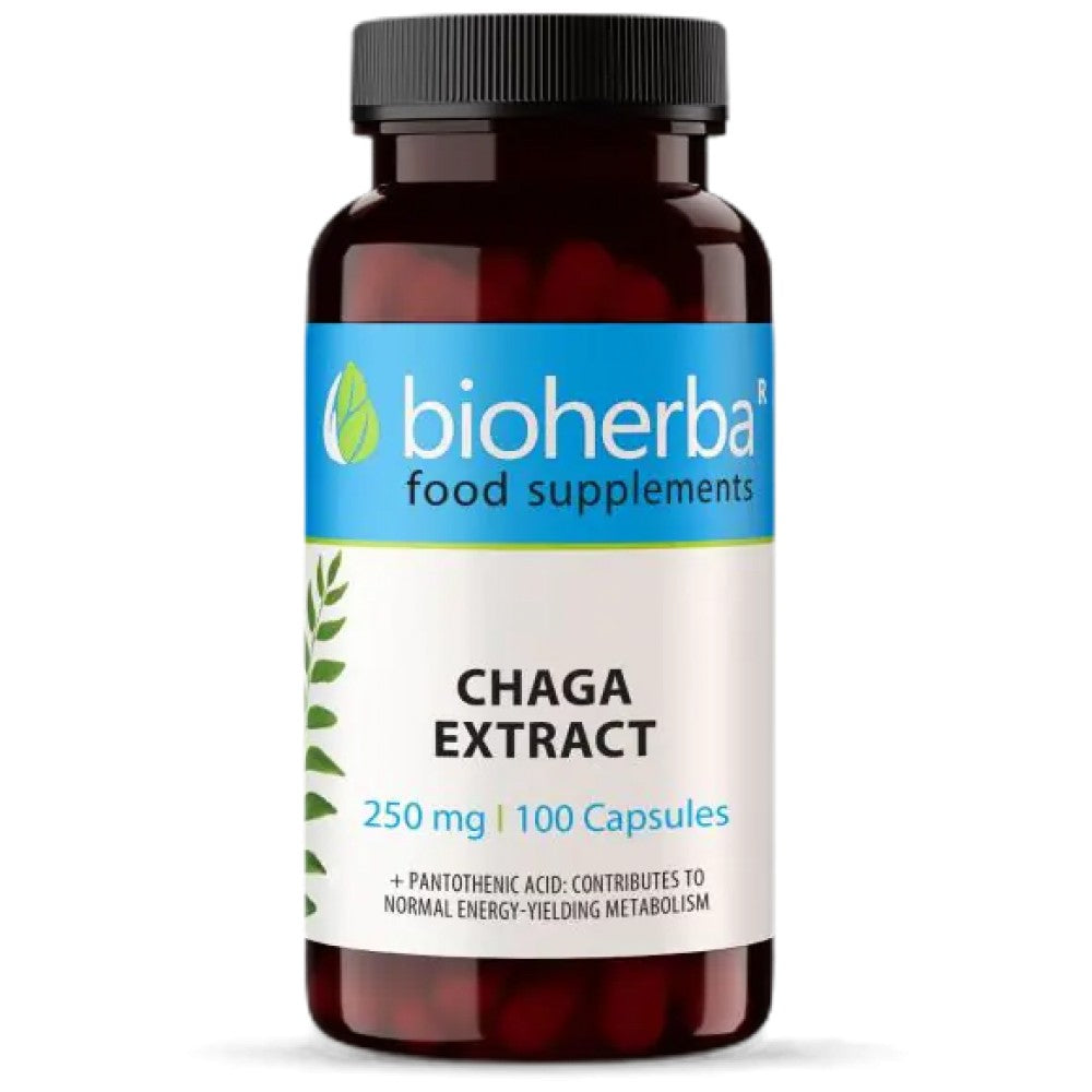 Full Spectrum Chaga Mushroom - 100 капсули - Feel You