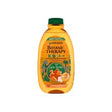 GARNIER - Botanic Therapy Kids Lion King Shampoo & Detangler - 400ml - Feel You