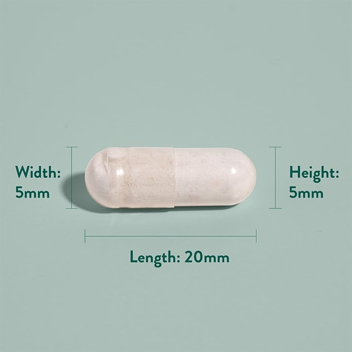 Нежно желязо (Gentle Iron) 20mg 90 капсули, H&B - Feel You