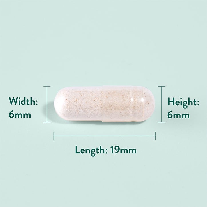 Ginger Root 1100mg - 120 капсули - Feel You