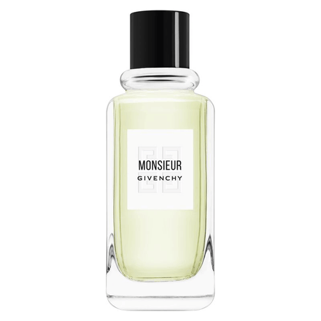 Givenchy, Monsieur de Givenchy, Eau De Toilette, For Men, 100 ml *Tester - Feel You
