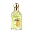 Guerlain Aqua Allegoria Eau De Parfum Forte Nerolia Vetiver 75ml Spray - Feel You