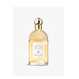 Guerlain Aqua Allegoria Eau De Toilette Mandarine-Basilic 125ml Spray - Feel You