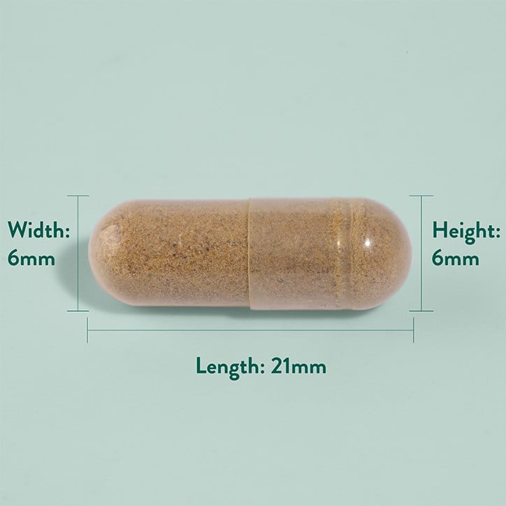 Билкова формула за добро храносмилане (Herbal Digestive and Enzyme Formula) 90 капсули HOLLAND & BARRETT - Feel You
