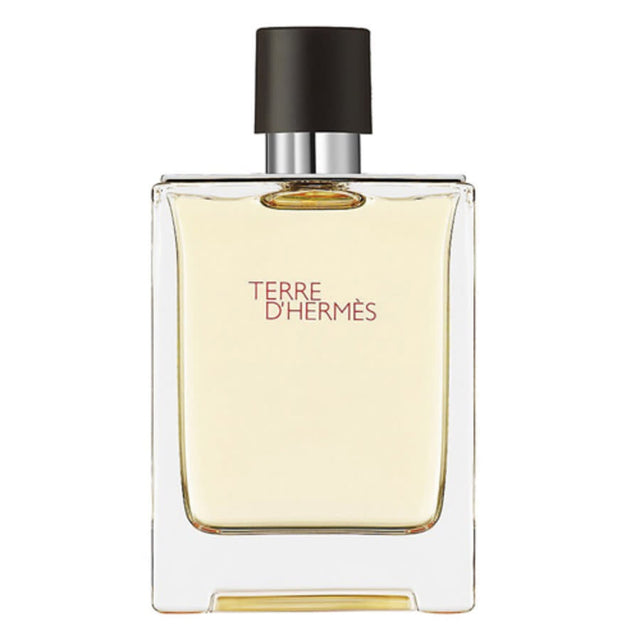 Hermes, Terre d'Hermes, Eau De Toilette, For Men, 100 ml *Tester - Feel You