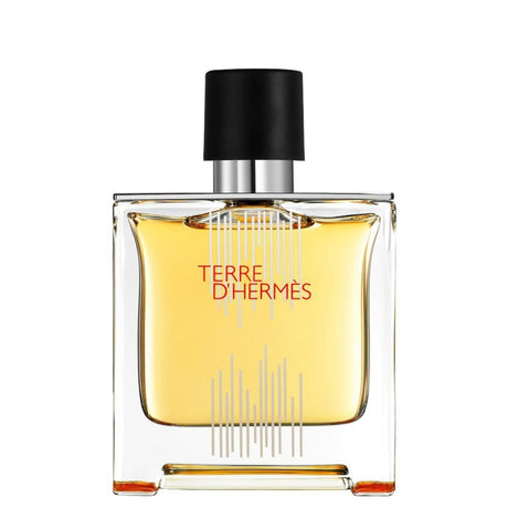 Hermes, Terre d'Hermes Flacon H 2021, Parfum, For Men, 75 ml - Feel You