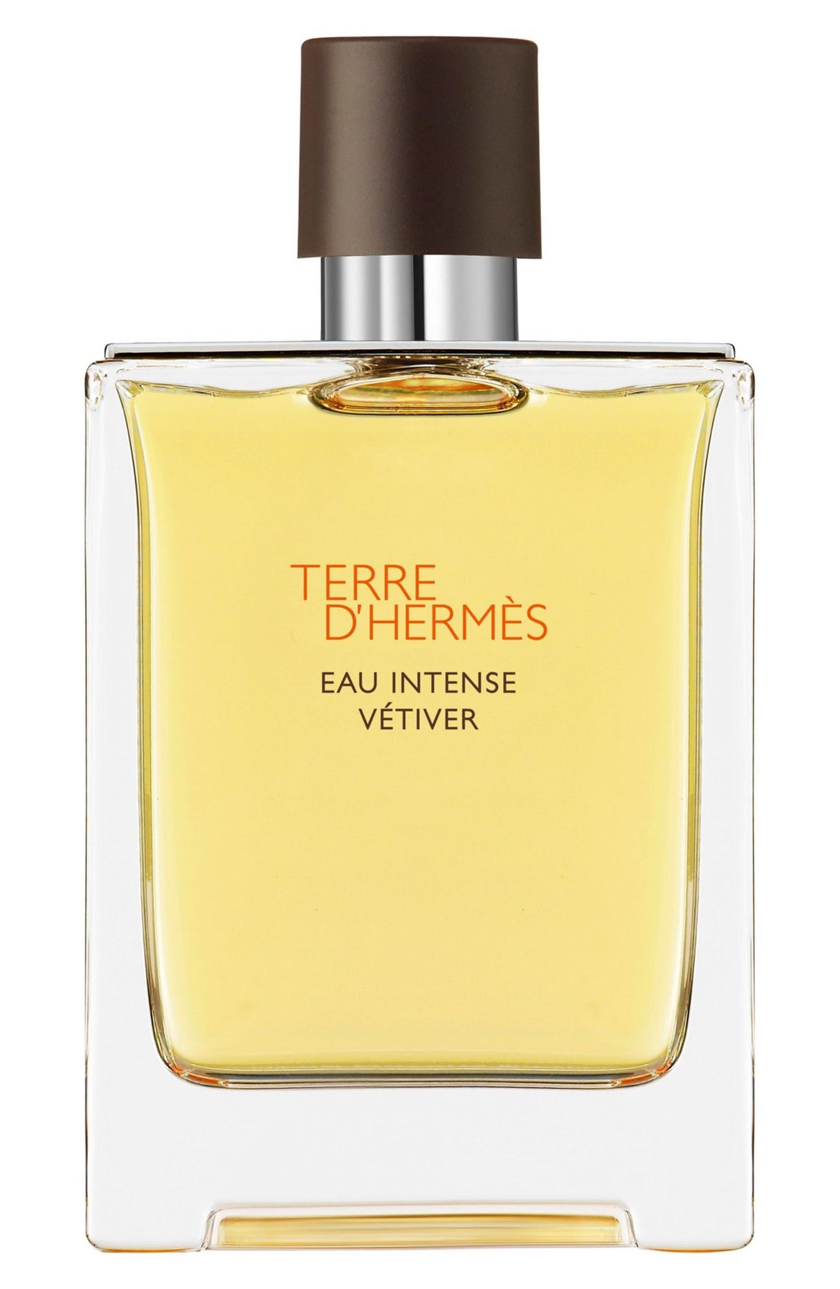 Hermes, Terre d`Hermes Intense Vetiver, Eau De Parfum, For Men, 200 ml - Feel You