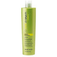 Inebrya - Ice Cream (Cleany Shampoo) 300 ml - 300ml - Feel You