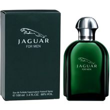 Jaguar - Jaguar for Man EDT Tester - 100ml - Feel You