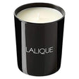 Lalique, Neroli Casablanca Maroc, Neroli, Scented Candle, 600 g - Feel You