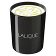 Lalique, Osmanthus Himalaya Nepal, Osmanthus, Scented Candle, 190 g - Feel You