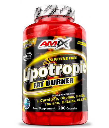 Lipotropic Fat Burner / 200 Caps - Feel You