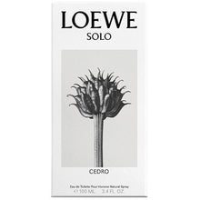 Loewe - Solo Loewe Cedro EDT - 100ml - Feel You