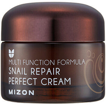 Mizon - Face cream with snail secretion filtrate 60% for problematic skin (Snail Repair Perfect Cream) 50 ml - 50ml - Feel You