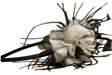 Moliabal, Moliabal, Hair Clip, 962 - Feel You