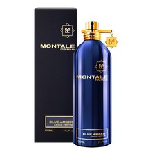 Montale Paris - Blue Amber EDP - 100ml - Feel You