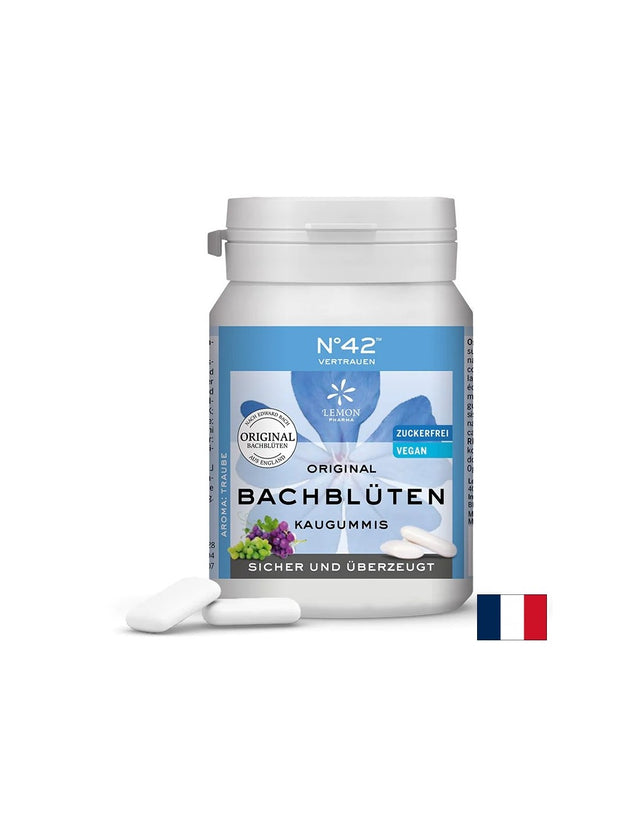 Дъвки с цветни есенции на д-р Бах N°42 – Увереност и доверие в собствените възможности, 40 броя с вкус на боровинка - Feel You