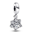 Pandora Moments 792247C01 - Feel You