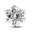 Pandora Moments 794249C01 - Feel You