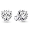 Pandora Timeless 293097C01 - Feel You