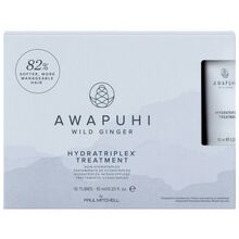 Paul Mitchell - Awapuhi Wild Ginger Hydratriplex Treatment - 100ml - Feel You