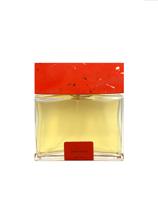 Pictor Parfum, Dark Room, Extrait De Parfum, Unisex, 100 ml - Feel You