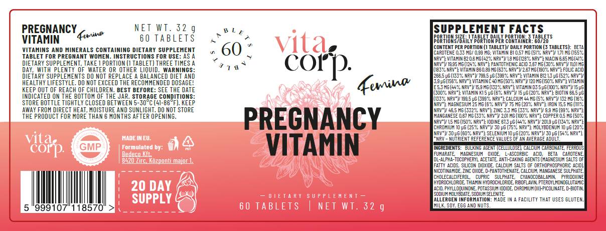 Pregnancy Vitamin Femina - 60 Таблетки - Feel You