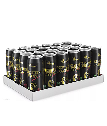 R-Weiler Focus Drink Zero / 24 x 330 ml - Feel You
