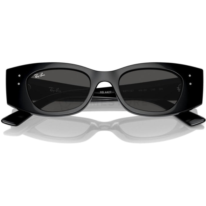 Ray-Ban RB4427 667787 49 - Feel You