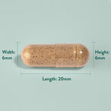 Салвия (Sage Leaf) (градински чай) 285мг 100 капсули, H&B - Feel You
