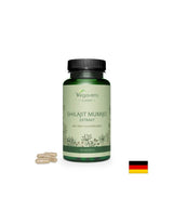Shilajit Mumijo/ Extract Шилажит (Мумио), 90 капсули, 100% Vegan - Feel You