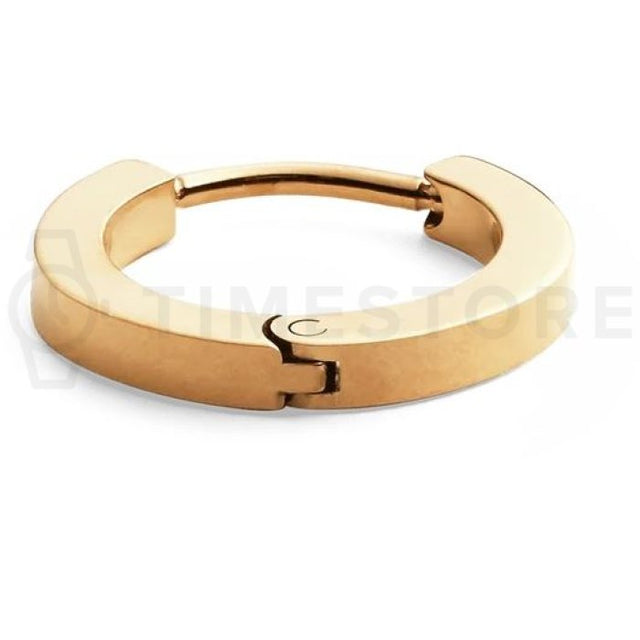 Single náušnica Daniel Wellington DW00400872 - Feel You