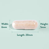 Хлъзгав бряст кора (Slippery Elm Bark) 370мг 90 капсули, H&B - Feel You