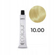 Subrina Professional, Permanent Colour, Permanent Hair Dye, 10.00 Natural, 100 ml - Feel You