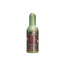 Tesori d'Oriente - Forest Ritual EDP - 100ml - Feel You