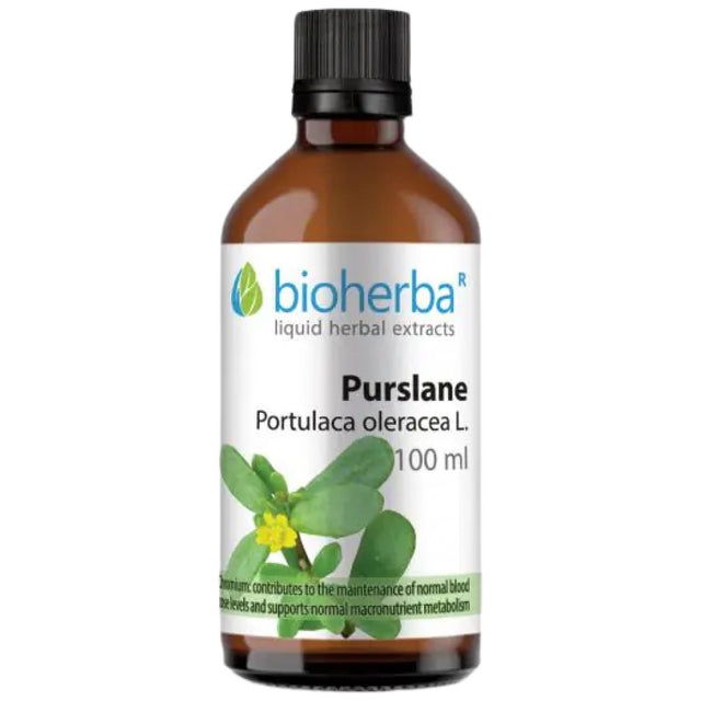 Tincture Portulaca oleracea (purslane) - 100 мл - Feel You