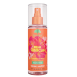 Tree Hut, Pink Hibiscus, Hydrating, Body Spray, Body, 177 ml - Feel You