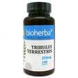 Tribulus Terrestris 250 mg - 100 капсули - Feel You