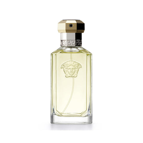Versace The Dreamer Eau de Toilette Spray 100ml - Feel You